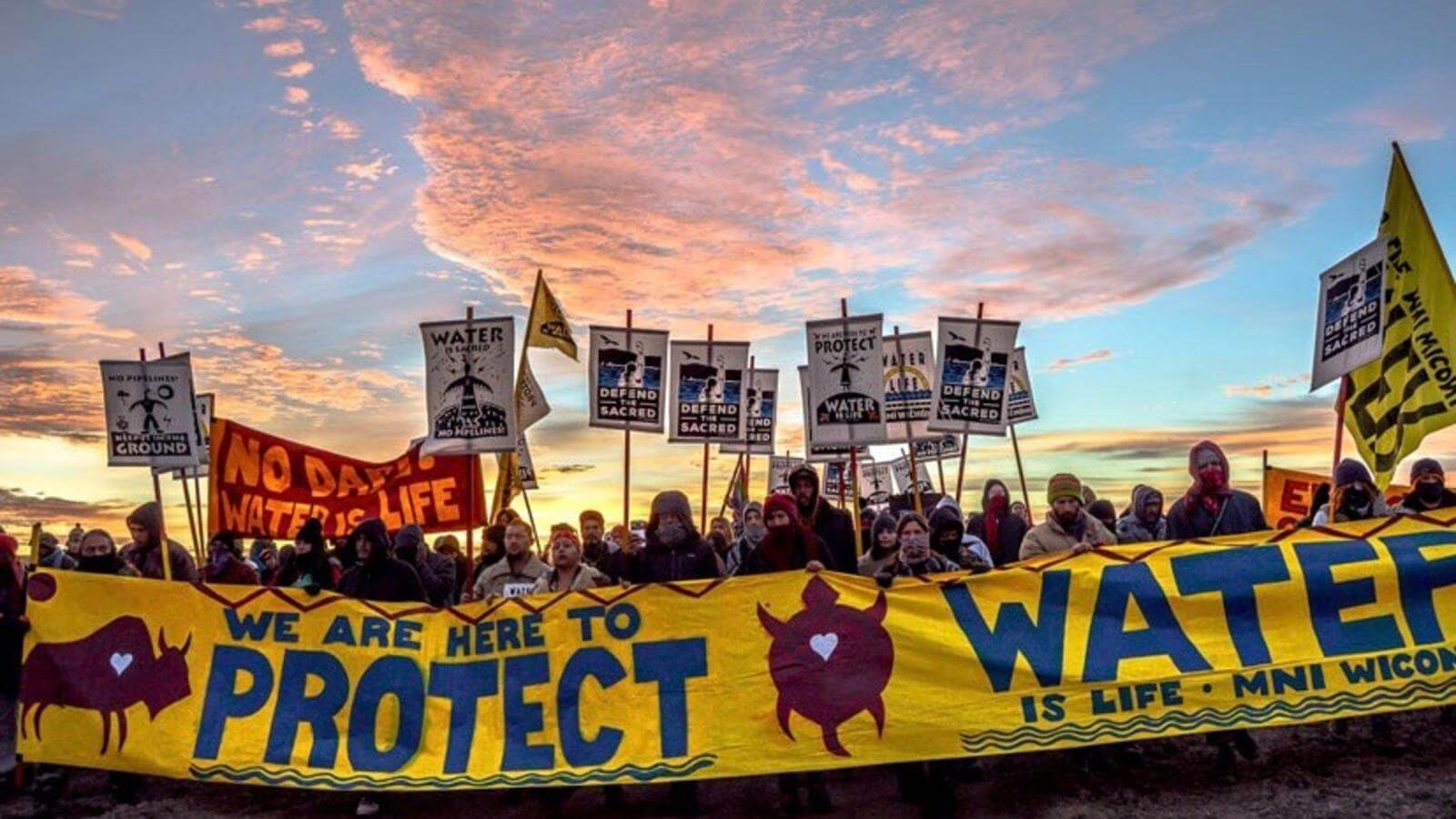 Dakota Pipeline protesters